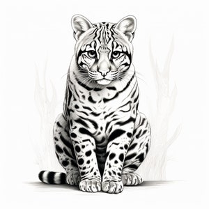 Ocelot Big Cat Clip Art Illustration, portrait d'animaux sauvages, coloriage imprimable pochoir autocollant logo tatouage