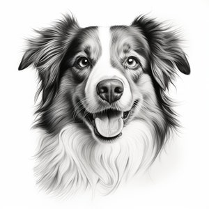 Australian Shepherd Fine Line Pet Portrait, Printable Clip Art Dog Illustration for coloring page, sticker, stencil, logo, tattoo, DIY