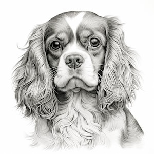 Ritratto di Cavalier King Charles Spaniel: stencil fai da te, logo, decorazione (PNG, JPEG)