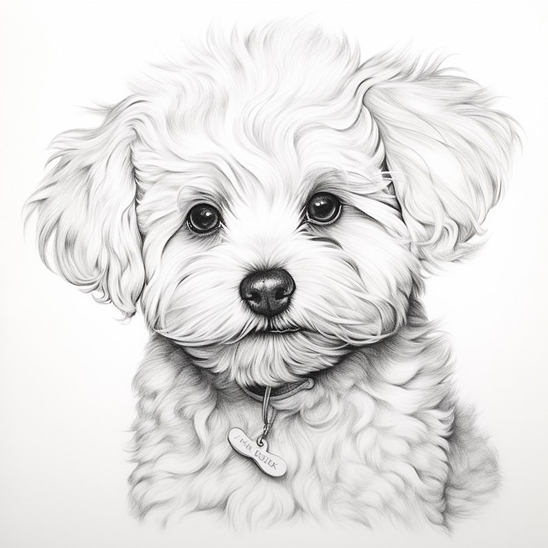 Bichon Frise Fine Line Pet Portait, Printable Commercial Dog Image for ...