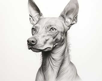 Op de afbeelding: Een zwart-witte potloodtekening van een hond met grote oren. De hond kijkt naar rechts in de afbeelding.