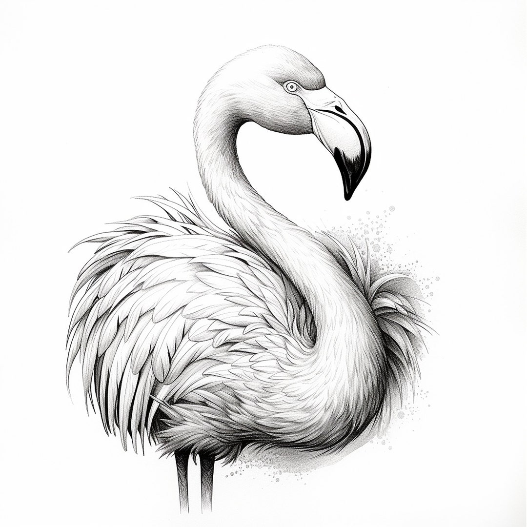 Flamingo Instant Download, Printable Wildlife Clip Art for Sticker ...