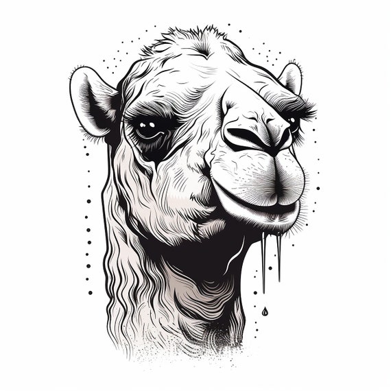 Camel black outline hotsell