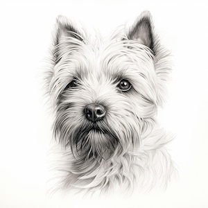 Cairn Terrier Portrait: Printable Dog Art (Digital Download)