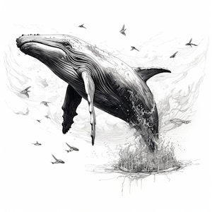 May include: A black and white illustration of a humpback whale leaping out of the water, with a spray of water behind it.  Smaller fish are scattered around the whale.