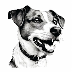 Ritratto di Jack Russell Terrier con linee sottili, clip art di cane stampabile per adesivi, stencil, logo, tatuaggi, decorazioni, Cricut, pirografia, t-shirt