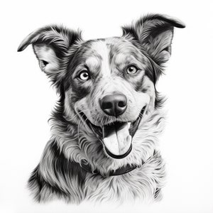 May include: A black and white pencil drawing of a dog with a happy expression. The dog has a black collar and is looking directly at the viewer.