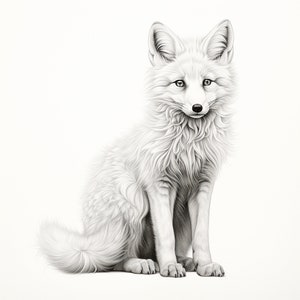 Könnte beinhalten: Ein weißer Polarfuchs mit einem buschigen Schwanz sitzt auf weißem Hintergrund. Der Fuchs hat schwarze Augen und eine schwarze Nase.