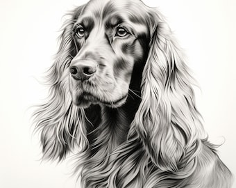Pode incluir: Um desenho a lápis preto e branco de um cão com cabelo longo e fluente. O cão está olhando para a esquerda da imagem e tem uma expressão séria no rosto.