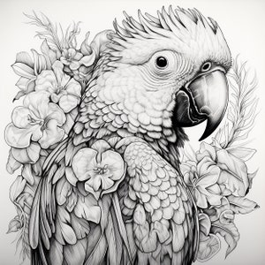 Parrot Black Line Clip Art, Printable wildlife bird and flower  decal  for sticker, stencil, logo, tattoo, woodburning, cricut, diy