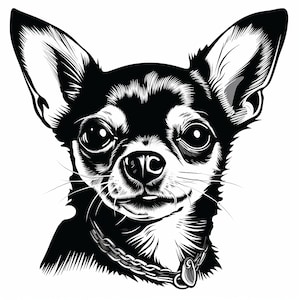 il_300x300.5133473772_ezgn.jpg