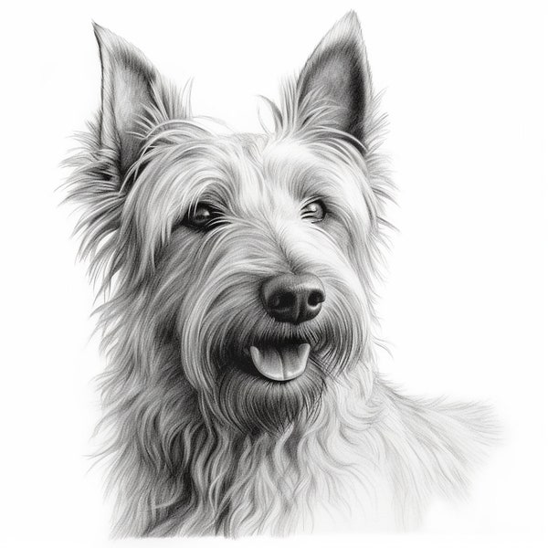 Berger Picard Fine Line Pet Portrait, Printable dog image for sticker, logo, tattoo, wall decor, cricut diy crafts, stationary, gift, tshirt