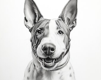 Può includere: Un cane Bull Terrier bianco e nero con un'espressione felice, che guarda direttamente lo spettatore. Il cane ha una macchia bianca sulla fronte e un naso nero.