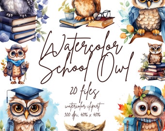 Watercolor School Owl Clipart Owl In School Clipart Back to School Clipart Owl Teacher PNG Cute Owl | PNG, Commercial Use, Instant Download