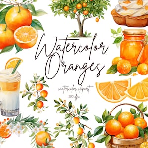 Watercolor Oranges Clipart, Orange Fruit Clipart, Fruit Clipart Set, Citrus Clipart, Summer Clipart | PNG, Commercial Use, Instant Download