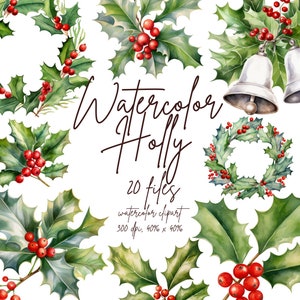 Clipart de azevinho aquarela Buquês de Natal Clipart de azevinho Berry PNG Clipart botânico de inverno | PNG Uso comercial Download instantâneo