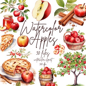 Clipart de maçã em aquarela, sobremesas de maçã, clipart de verão, clipart de torta de maçã, clipart de árvores de maçã | PNG, uso comercial, download instantâneo