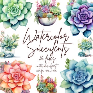 Acuarela Suculentas Clipart Suculentas Clipart Cactus Clipart Desierto Agave PNG Aloe Clipart / PNG, Uso Comercial, Descarga Instantánea