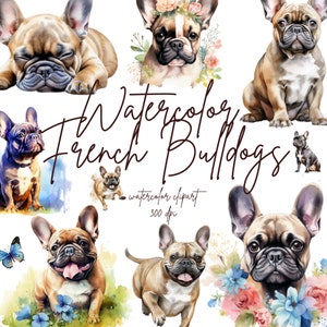 Aquarell Französische Bulldogge Clipart, Französischer Hund Clipart, Blumen Hund Clipart, Frenchie Hunde und Welpen | PNG, Kommerzielle Nutzung, Sofortiger Download