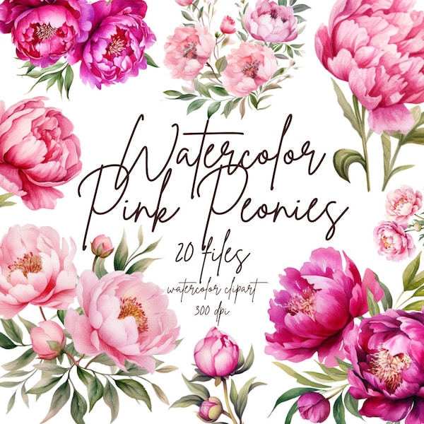 Watercolor Pink Peonies Clipart Peony Flower Clipart Beautiful Floral Graphics Floral Watercolor | PNG, Commercial Use, Instant Download