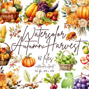 Clipart de colheita de outono em aquarela Clipart de alimentos de outono Clipart de vegetais de outono Colheita em aquarela | PNG, uso comercial, download instantâneo