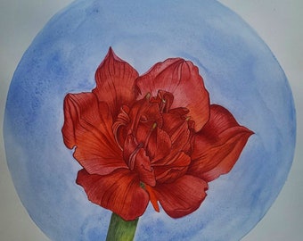 Red flower of love watercolor original