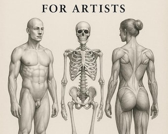 Anatomy for the Artist by Jeno Barcsay, Ring Bound, Art Manual 142