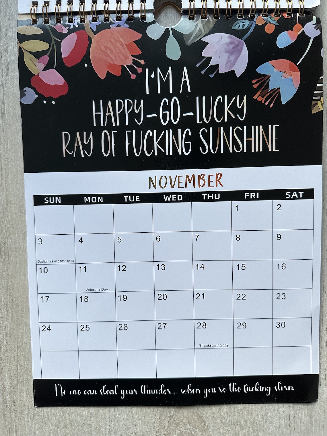 2024 Wall Calendar Funny Calendar 2024 Swearing Calendar Etsy Canada