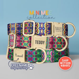 a colorful dog collar with a name tag on it