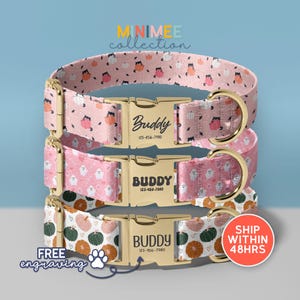 Halloween Dog Collar, Personalized Pumpkin Dog Collar, Pumpkin Season Dog Collar With Leash, Seasonal Dog Collar, (DC-168)