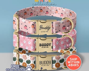 Halloween Dog Collar, Personalized Pumpkin Dog Collar, Pumpkin Season Dog Collar With Leash, Seasonal Dog Collar, (DC-168)