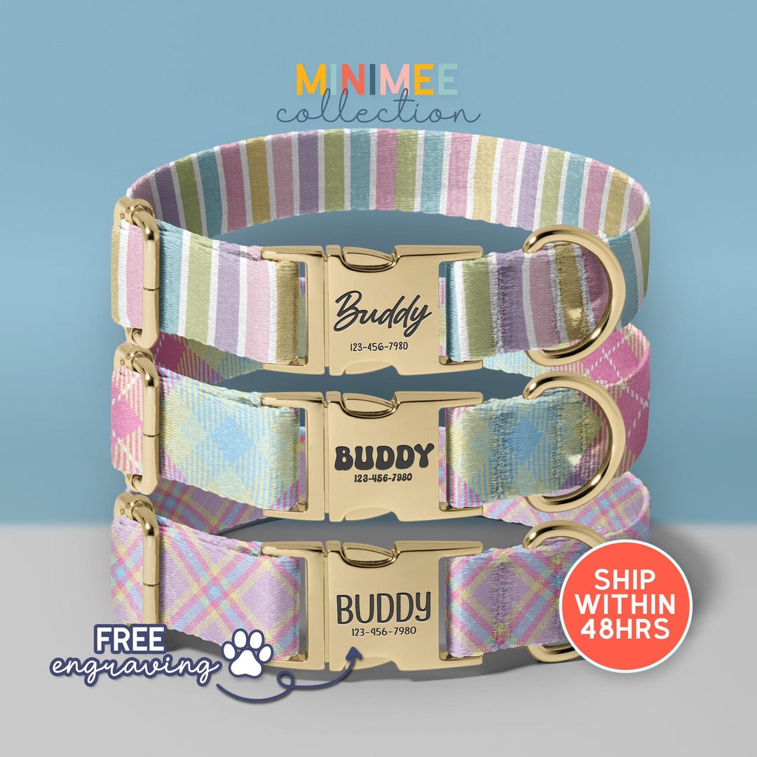 Collars Unique Personalized Dog Collars With Unique Design, Dog Lover Gift, Girl Boy ...