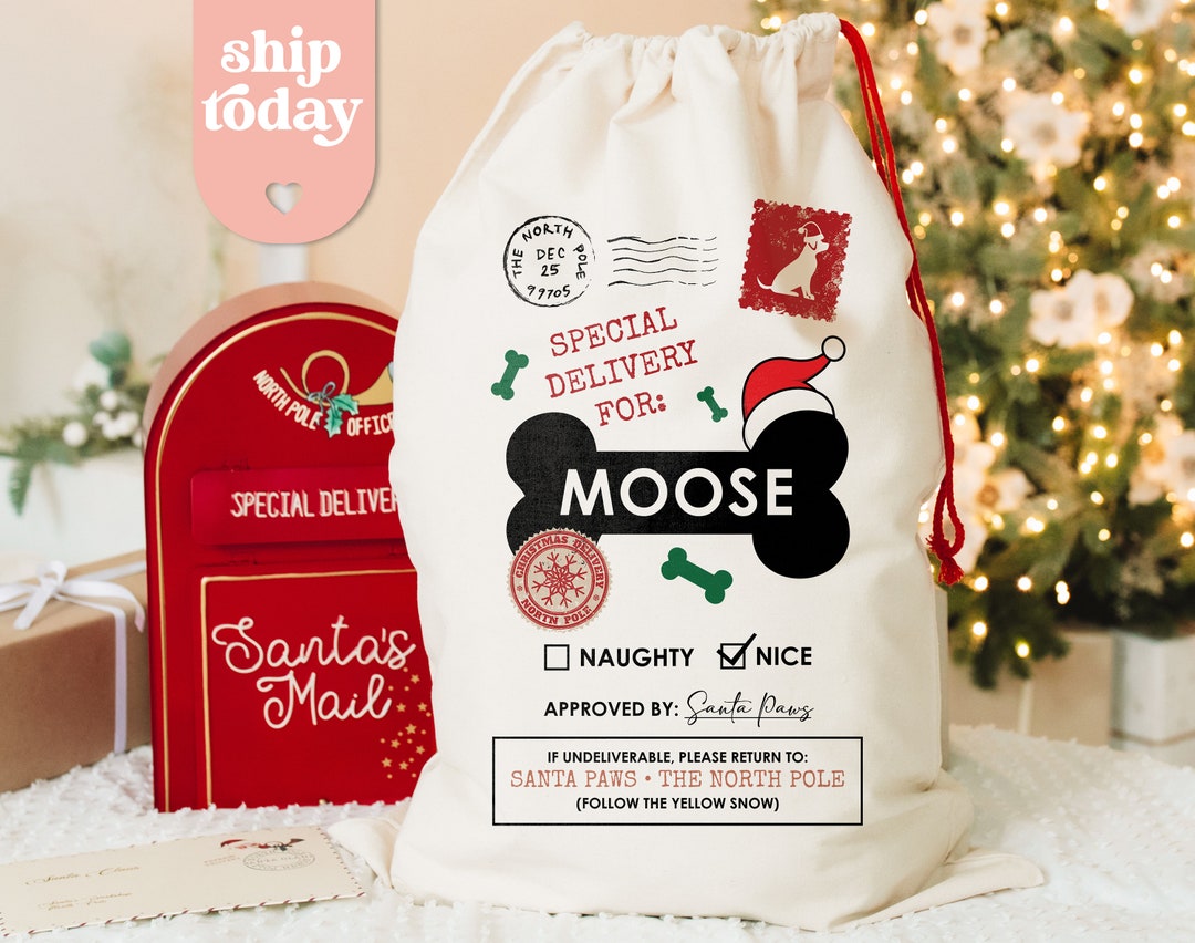 Personalized Dog Christmas Bag, Special Delivery for Dog Name Santa