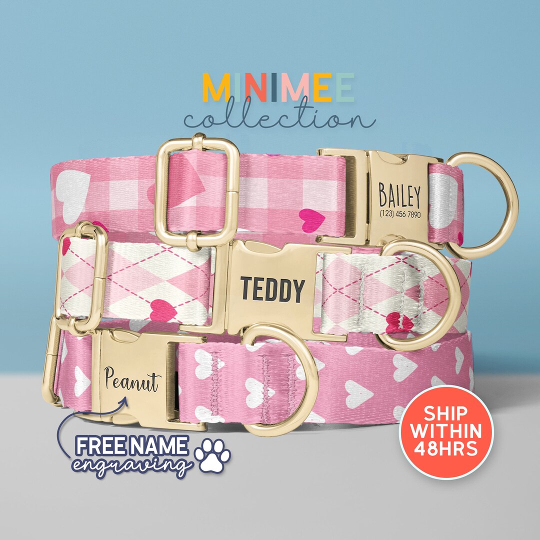 Adjustable Valentine Heart Dog Collar and Leash Set, Pink Valentine Dog Collar, Love Dog Collar