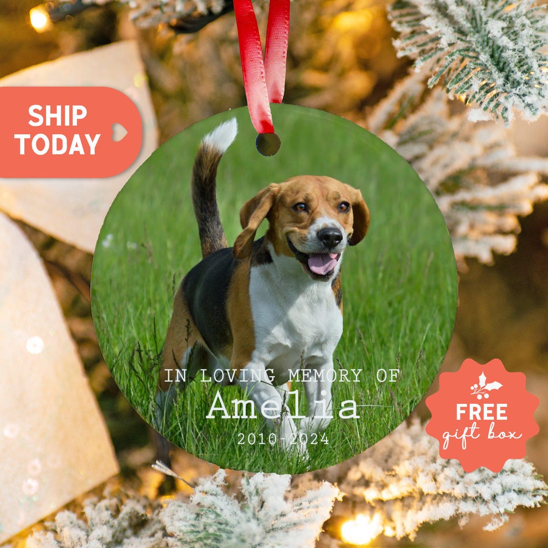 In Loving Memory of Personalized Pet Ornament, Customized Pet Memorial