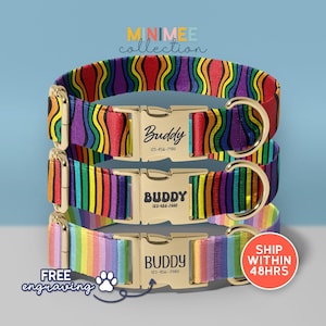 Personalized Pride Dog Collar, Custom Engraved LGBTQ Pet Collar, Colorful Rainbow Collar, Free Name Engraving(DC-230)