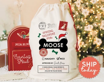 Personalized Dog Christmas Bag, Special Delivery For Dog Name Santa Sack, Funny Paw Parent Christmas Bag, (CB-3 Nice)