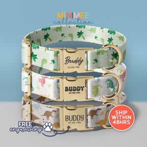 Cute Dinosaurs Personalized Dog Collar, Dino Custom Dog Collar With Name, Cute Soft & Adjustable, Gift for Dogs, (DC-93)