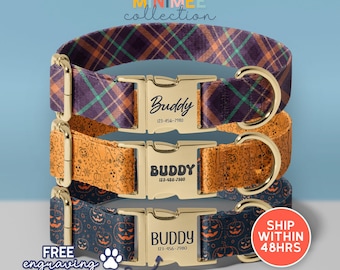 Spooky Dog Collar, Halloween Costume For Dog, Witchy Dog Collar, Pumpkin Vibes Dog Collar With Leash, Pumpkin Dog Collar, (DC-171)