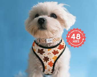 Fall Leaf Dog Harness | Custom Engraved Dog Collar with Gold Metal Buckle | Puppy Walking Set (DC-181_2)