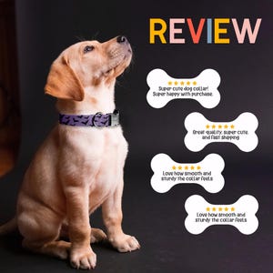 A cute golden retriever puppy wearing a purple dog collar with a collar tag, sitting on the floor and looking up.