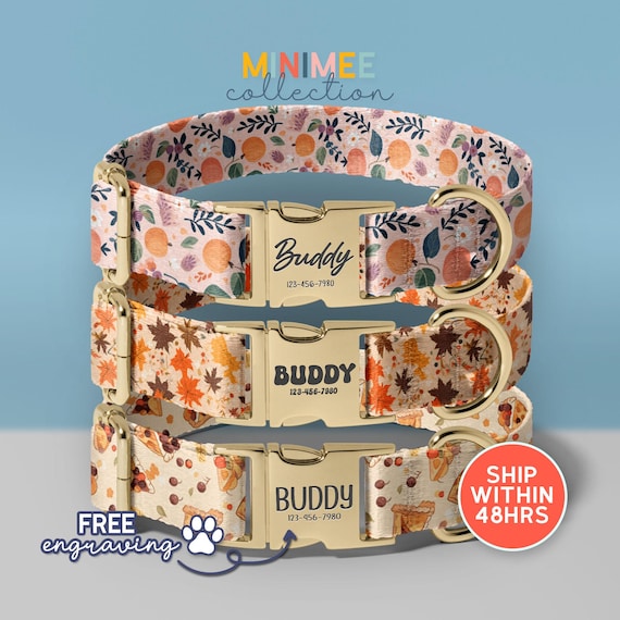 Pumpkin Thanksgiving Dog Collar, Fall Dog Collar With Name, Autumn Dog Collar, Dog Lover Gift, Holiday Dog Collar, (DC-181)
