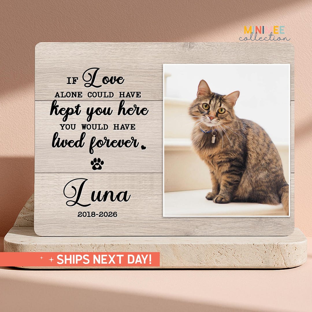 Custom Cat Memorial Gift | Personalized Pet Memorial Frame | Rainbow ...