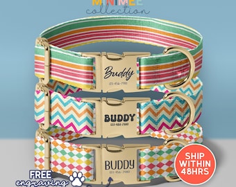 Colorful Groovy Girl Dog Collar, Cute Female Custom Dog Collar, Retro Fancy Designer Dog Collar, Cute Girl Dog Collar, (DC-151)
