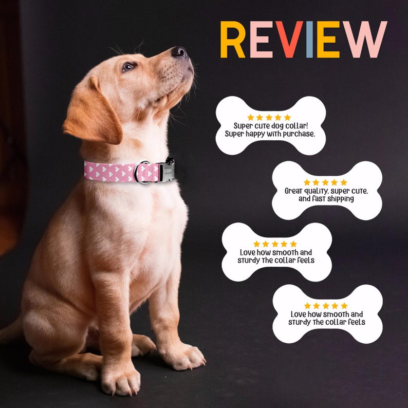 A cute golden retriever puppy wearing a pink collar with a collar tag, sitting on a black background with the word "REVIEW" displayed above it.