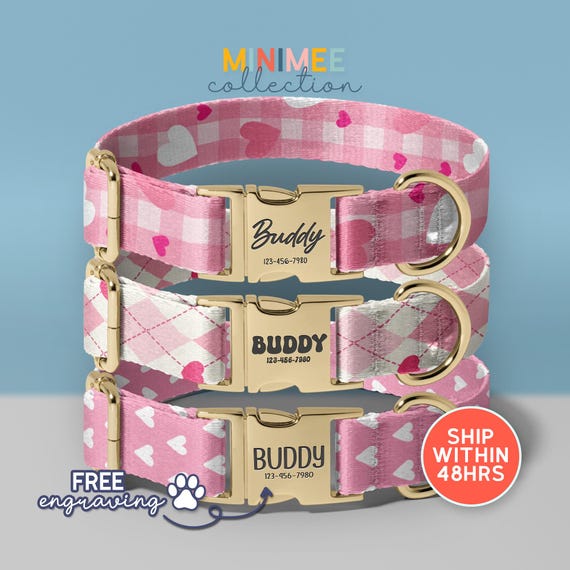 Adjustable Valentine Heart Dog Collar And Leash Set, Pink Valentine Dog Collar, Love Dog Collar, Hearts Personalised Dog Collar, (DC-28)