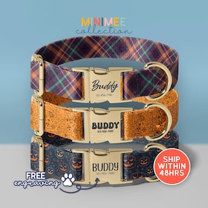 Spooky Dog Collar, Halloween Costume For Dog, Witchy Dog Collar, Pumpkin Vibes Dog Collar With Leash, Pumpkin Dog Collar, (DC-171)
