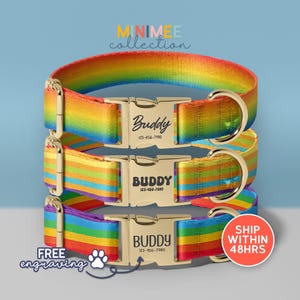 May include: Three rainbow-striped dog collars with gold-colored metal buckles. Each buckle is engraved with the name "Buddy" and a phone number. The collars are stacked, with the text "MINIMEE collection" at the top and "FREE engraving" at the bottom.
