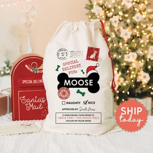 Personalized Dog Christmas Bag, Special Delivery For Dog Name Santa Gift Bag, Funny Paw Parent Christmas Bag, (CB-3 Nice)