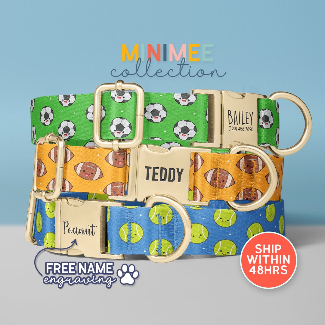 Football Party Dog Collar, Football Dog Collars, Personalized Sports